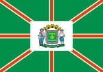 Bandeira de Goiânia